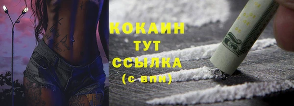 хмурый Алексин