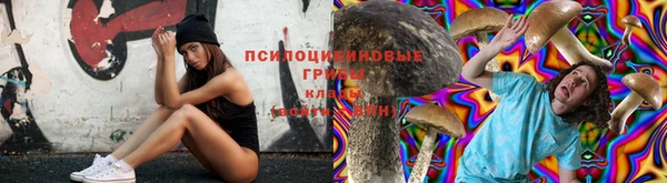 хмурый Алексин