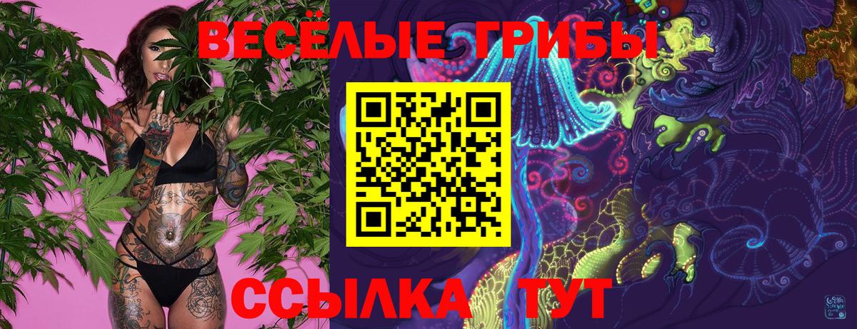 Псилоцибиновые грибы Psilocybine cubensis  Вход с VPN  Шарыпово  магазин  наркотиков  Псилоцибиновые грибы MAGIC MUSHROOMS 
